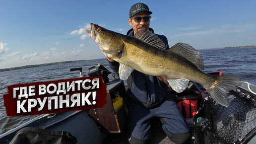 В этих МЕСТАХ живет КРУПНЯК / Лучшие приманки на трофейного СУДАКА! НОВЫЕ и СТАНДАРТНЫЕ проблемы с лодкой ПВХ!