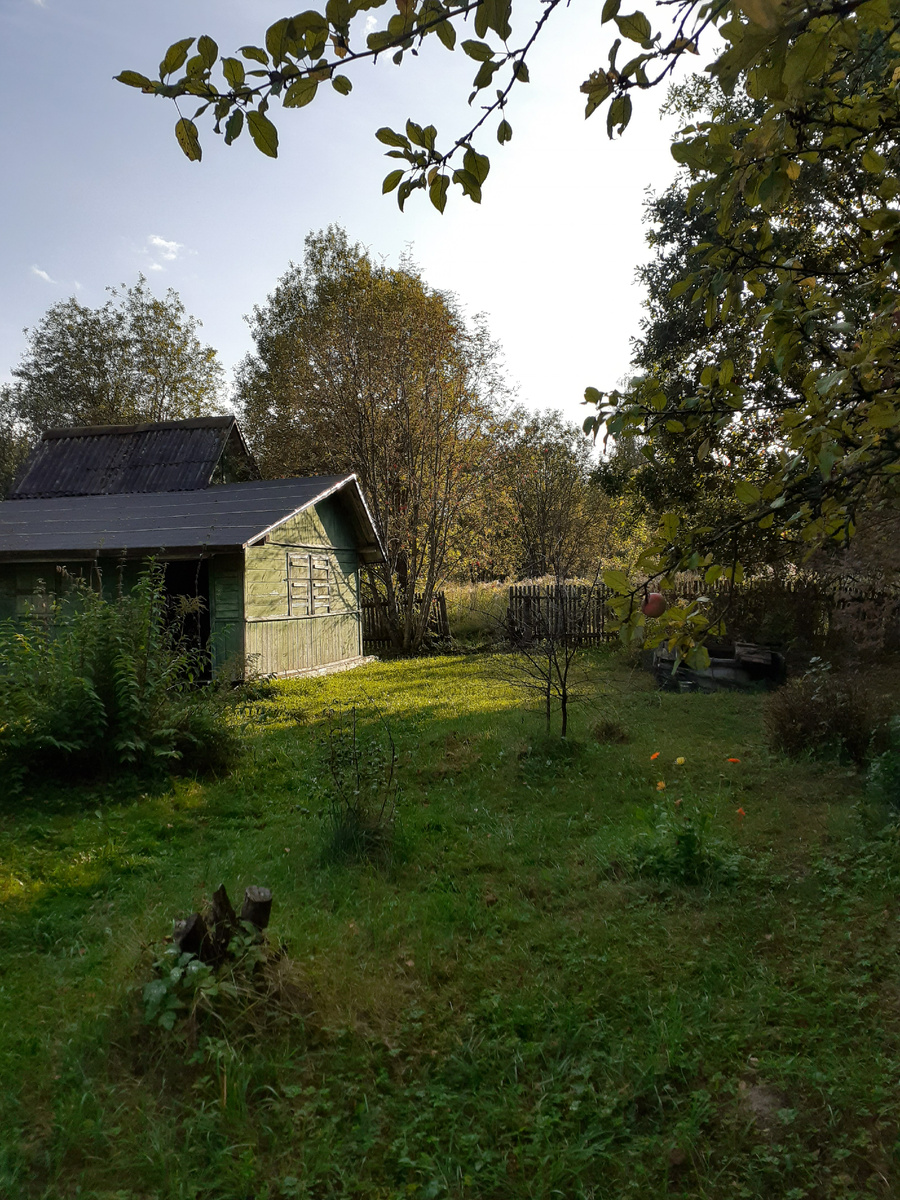 Это кусочек моей дачи, на которой я люблю проводить время.