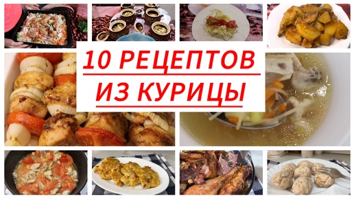 10 рецептов из курицы на каждый день