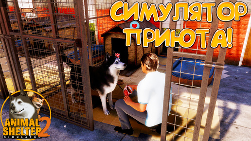 СИМУЛЯТОР ПРИЮТА! Animal Shelter 2: Prologue - ОБЗОР/ПРОХОЖДЕНИЕ!🔥