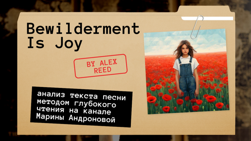 Глубокое чтение: читаем текст песни Bewilderment is joy (автор песни Alex Reed)