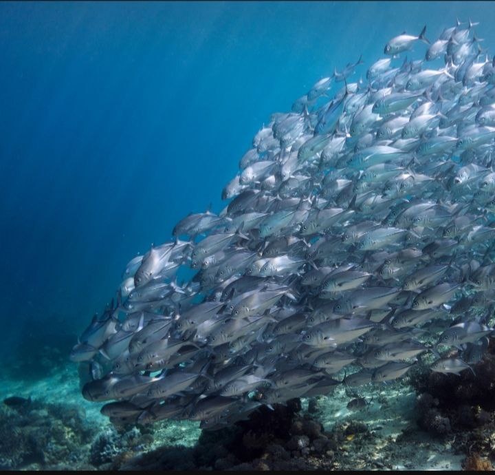 Когда мы все были одно.