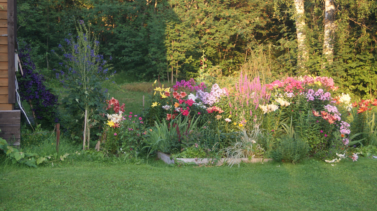 Мои "Коралловые рифы" до переделок.