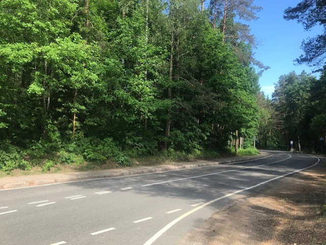 Дорога к Святогорскому монастырю. Фото автора