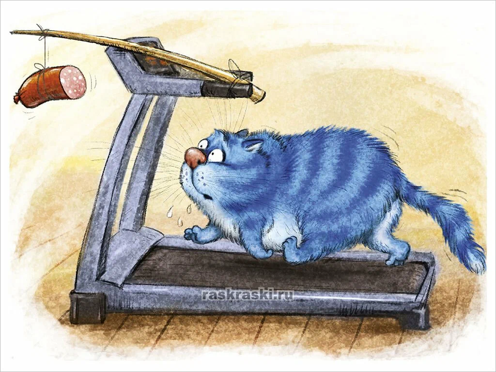 очаровательные коты Рины Зенюк