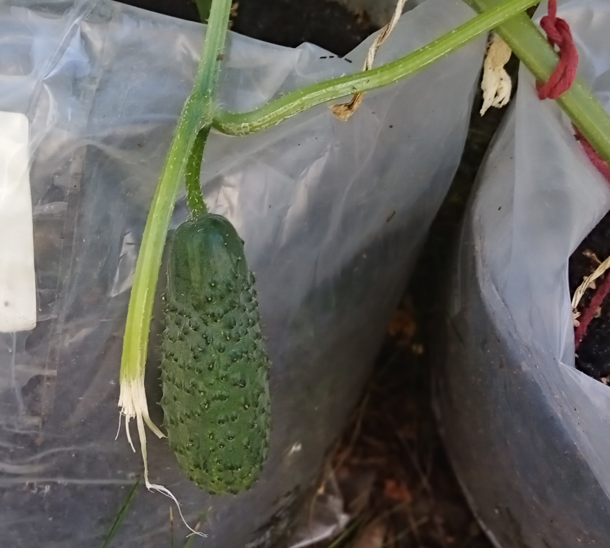 Резать проще, чем отрывать.