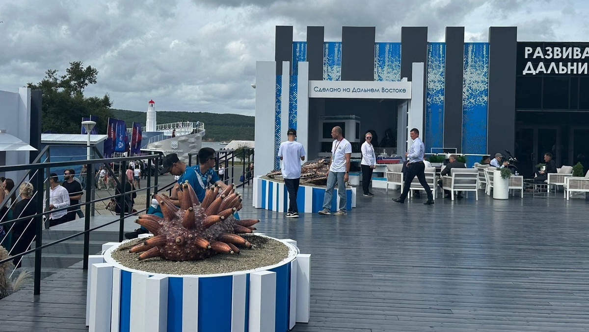     Источник: vostokmedia.com