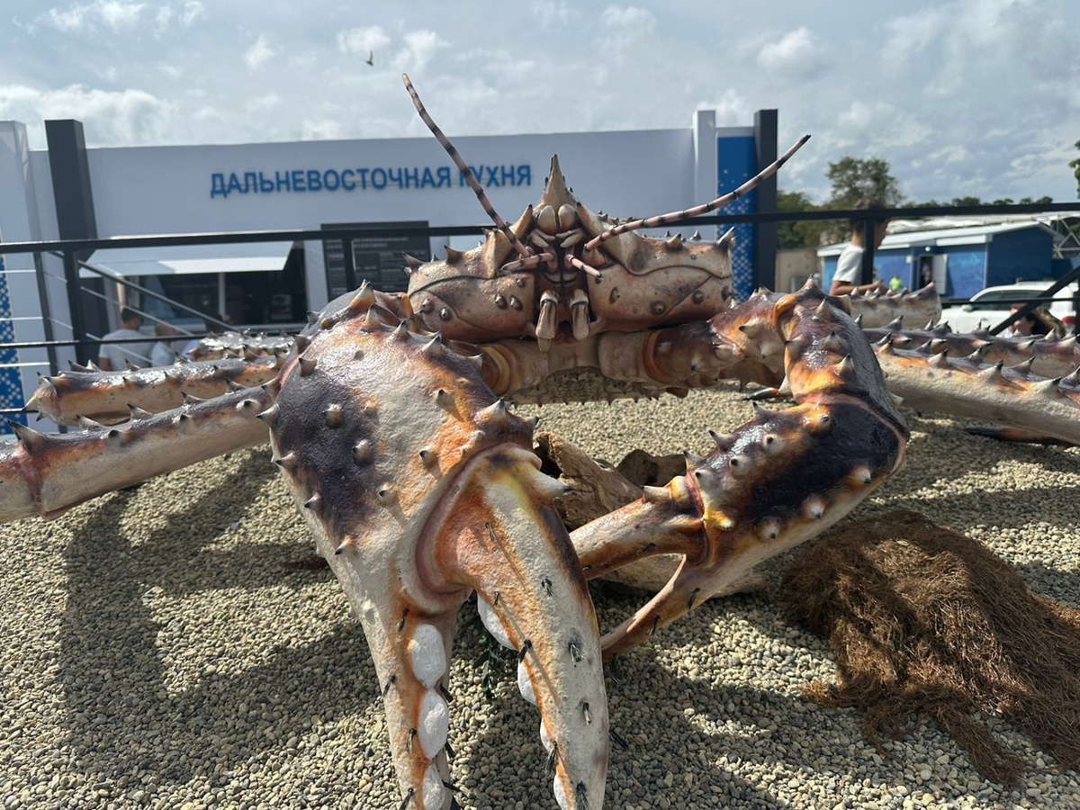     Источник: vostokmedia.com