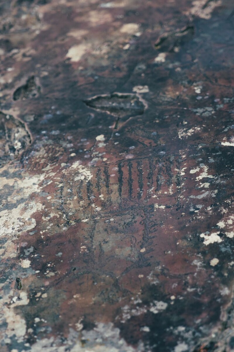    Урочище Калбак-Таш. Горный Алтай. Источник: Андрей Сороко / "Толк"