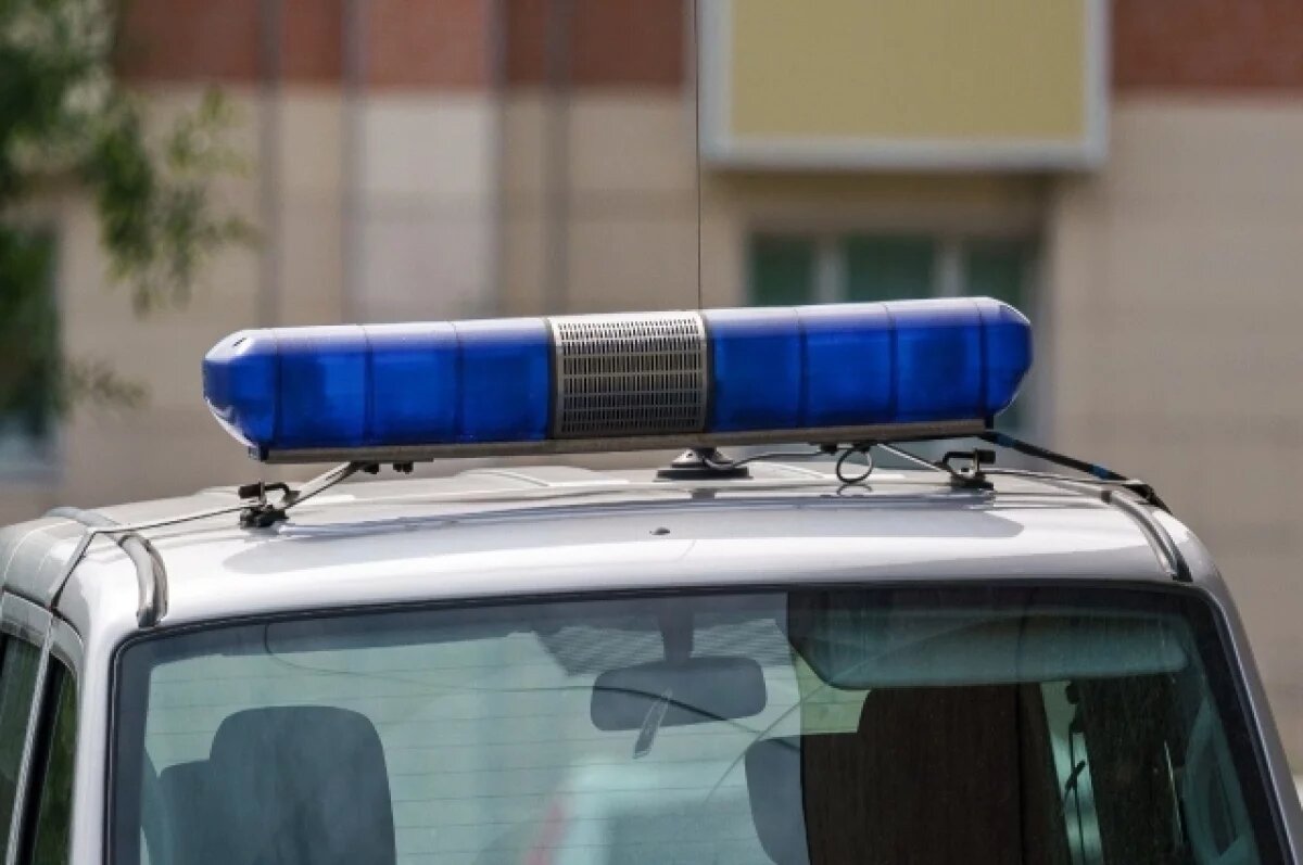    На Камчатке в ходе операции «Мак-2024» изъяли более 6 кг наркотиков