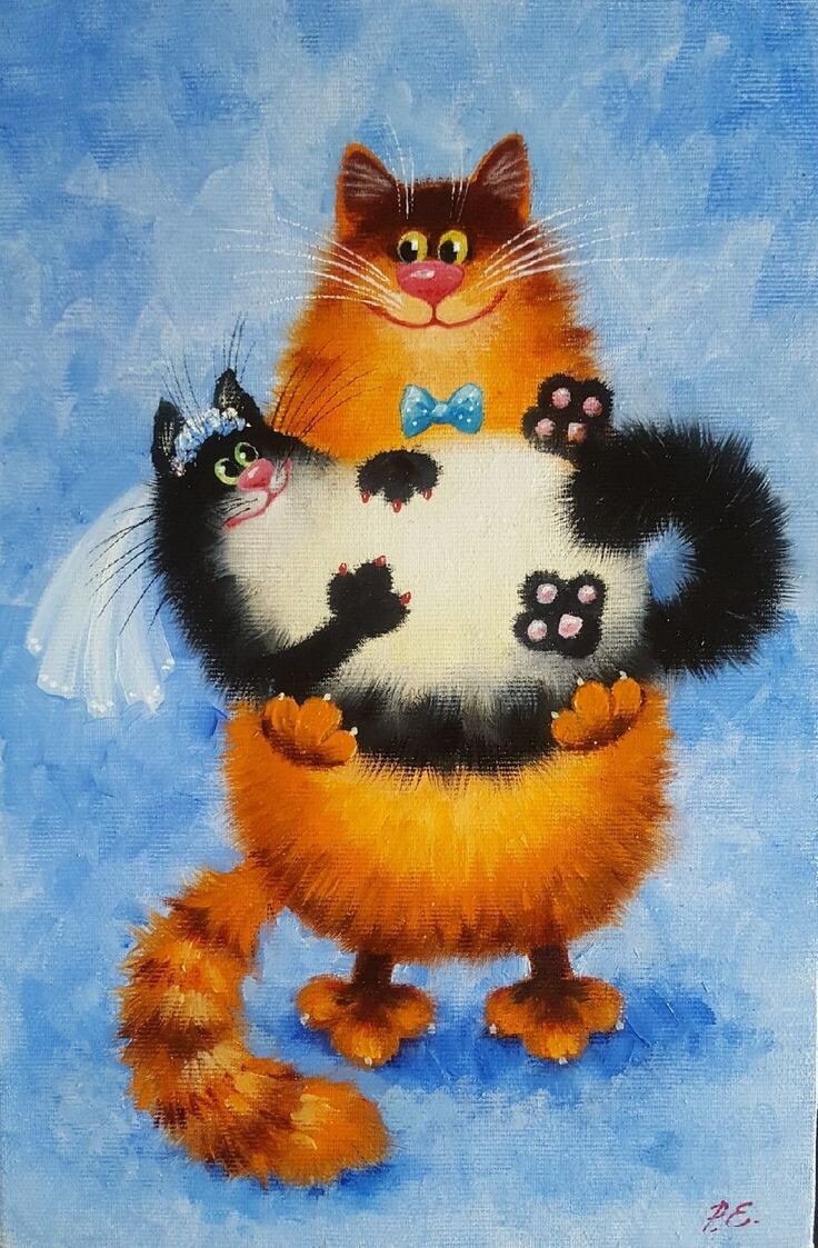 обычная кошачья свадьба :)