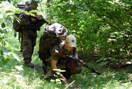    Вооруженные силы Украины