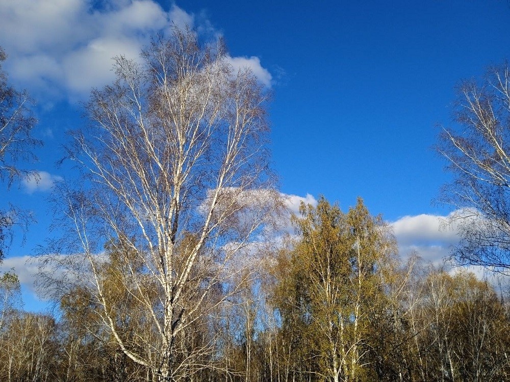    Фото Анны Зубаревой