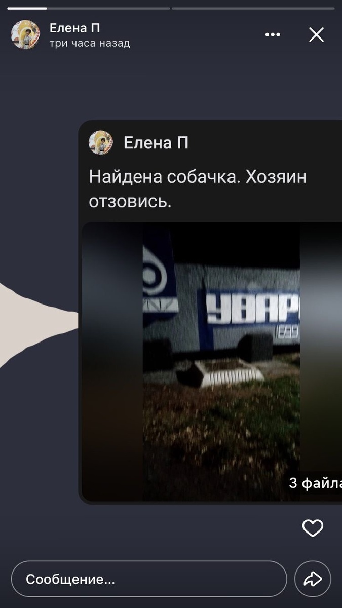 Фото автора