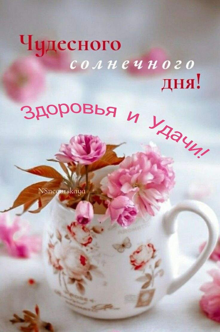 Мне прислали, с вами делюсь. 