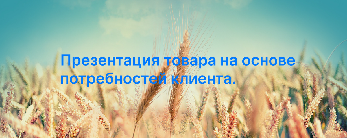 Презентация товара на основе потребностей клиента.