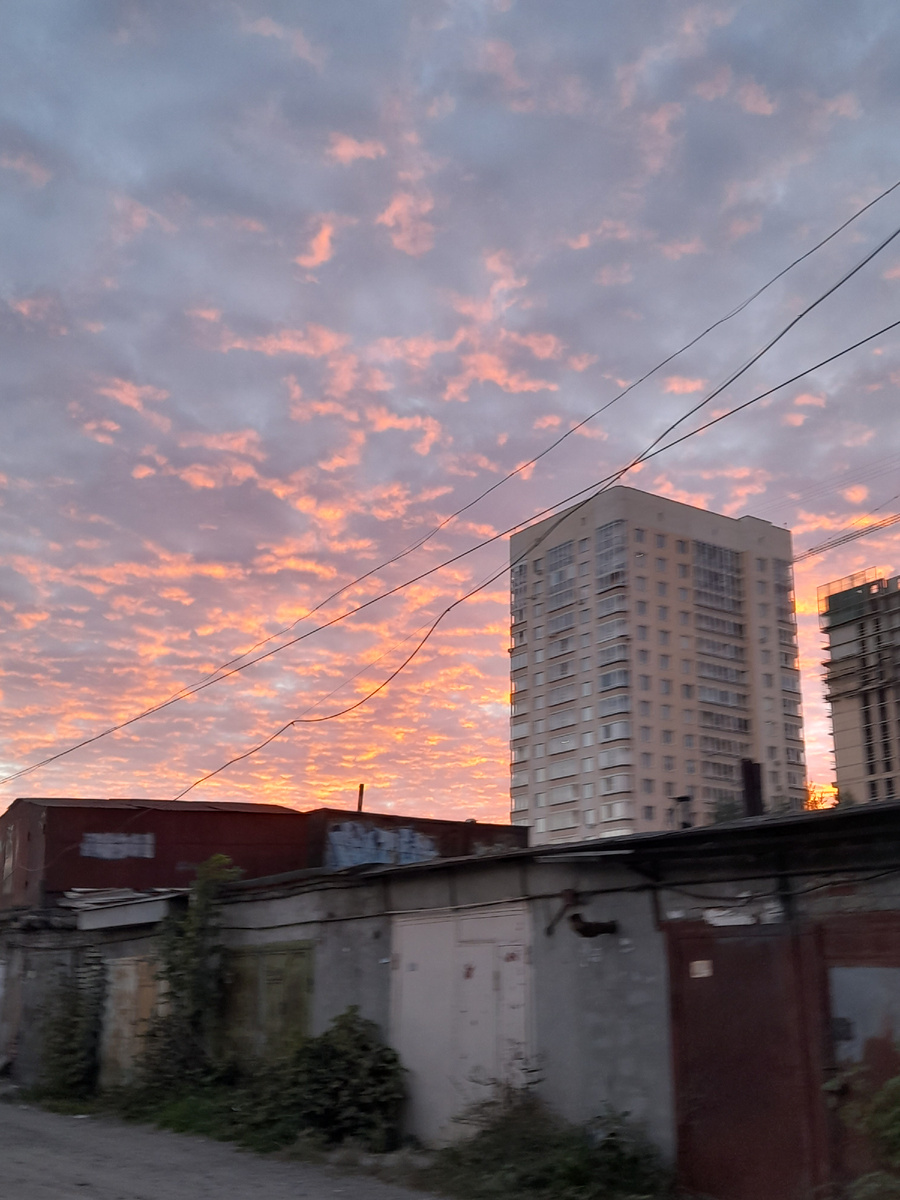 Вид с нашего гаража