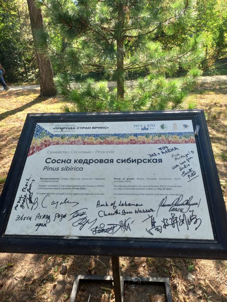 Фото автора.