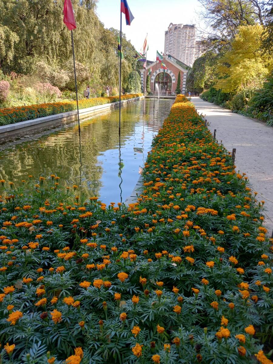 Центральный бассейн. Фото автора.