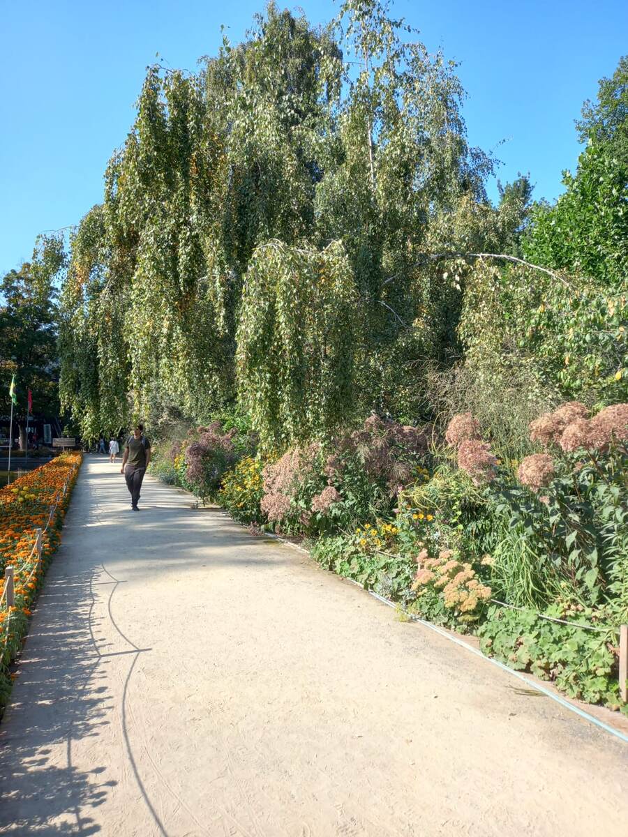 Боковая аллея. Фото автора.