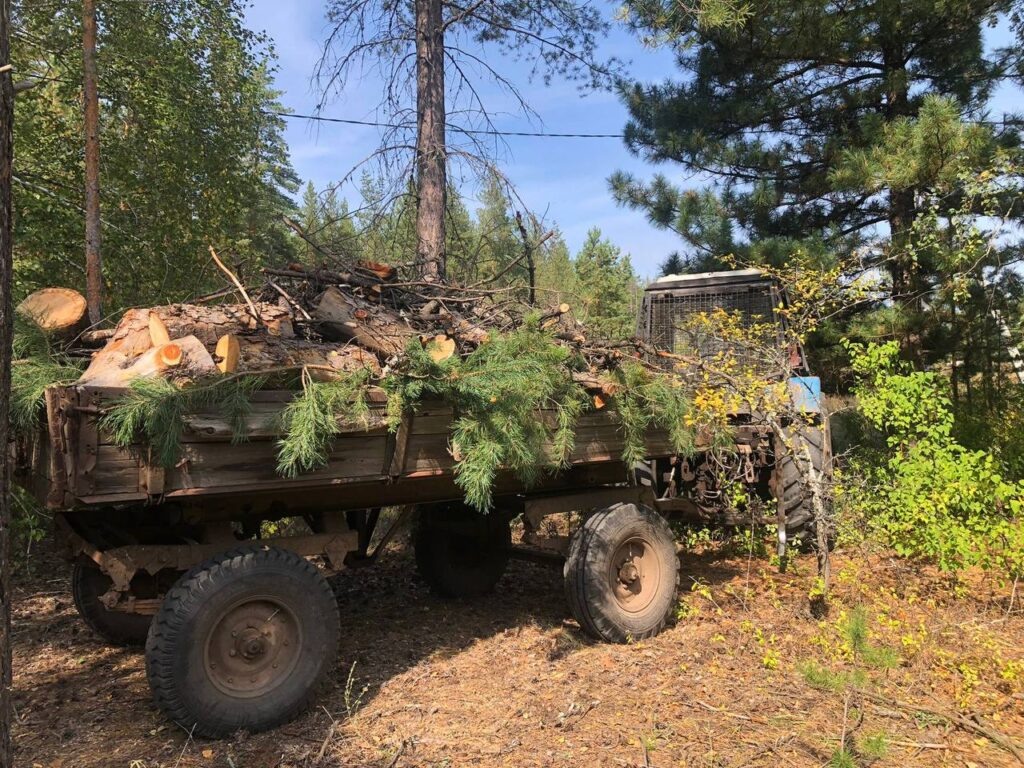     В Бузулукском бору благоустраивают территорию опытной станции Оренбуржье
📷    В Бузулукском бору благоустраивают территорию опытной станции Оренбуржье
