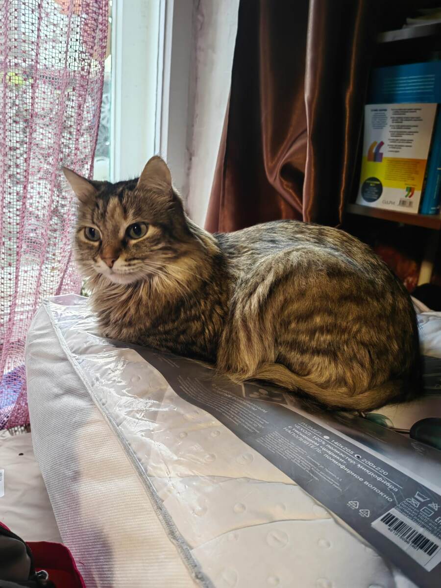 Всё-таки Маруся необыкновенная красотка.