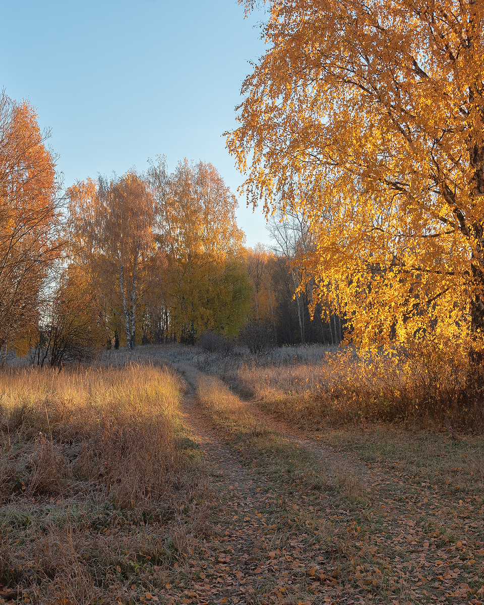 Золотые берега реки Немда 