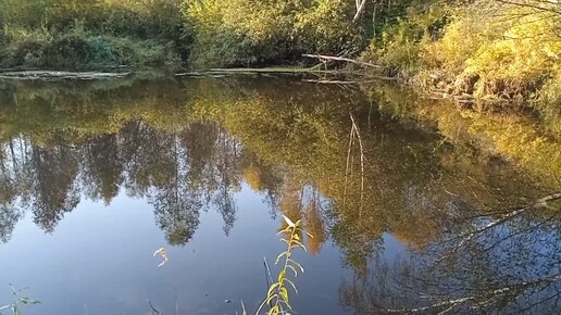 Рыбалка в Сибири. Кое как пробрался до место, а в итоге не зря. Наловил порядком окуней