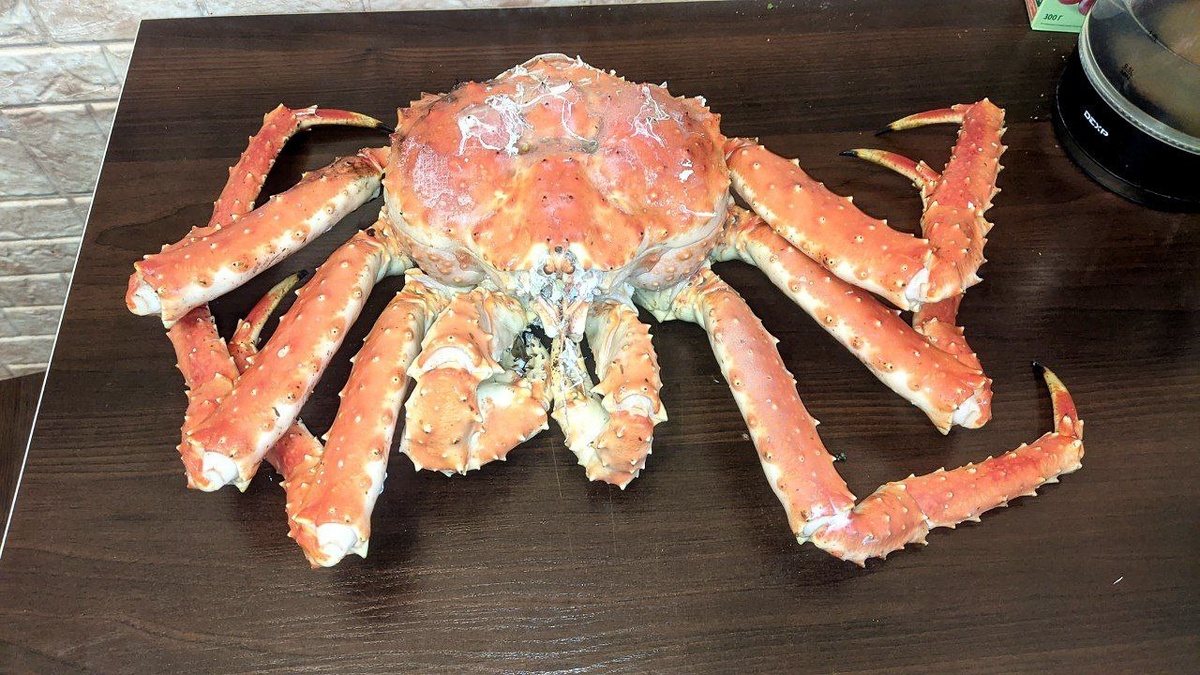 Мой обед и ужин на всю неделю