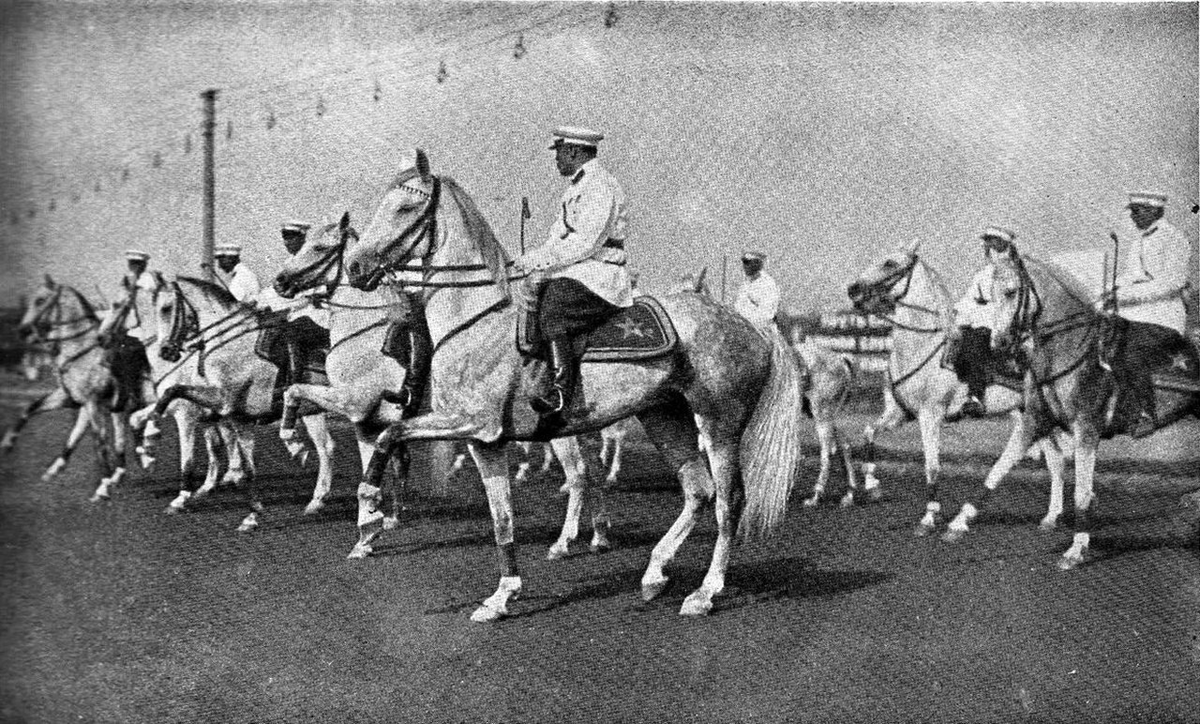 «Высшая школа верховой езды меня никак не привлекает. То ли дело прыгать и рубить!»//Филатов С.И. Рим рукоплещет, 1962.