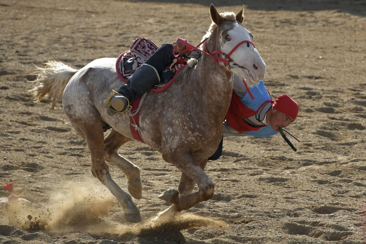 Фото: пресс-служба ВИК-2024