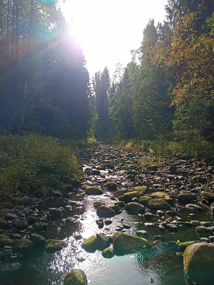 Удивительная погода сентября