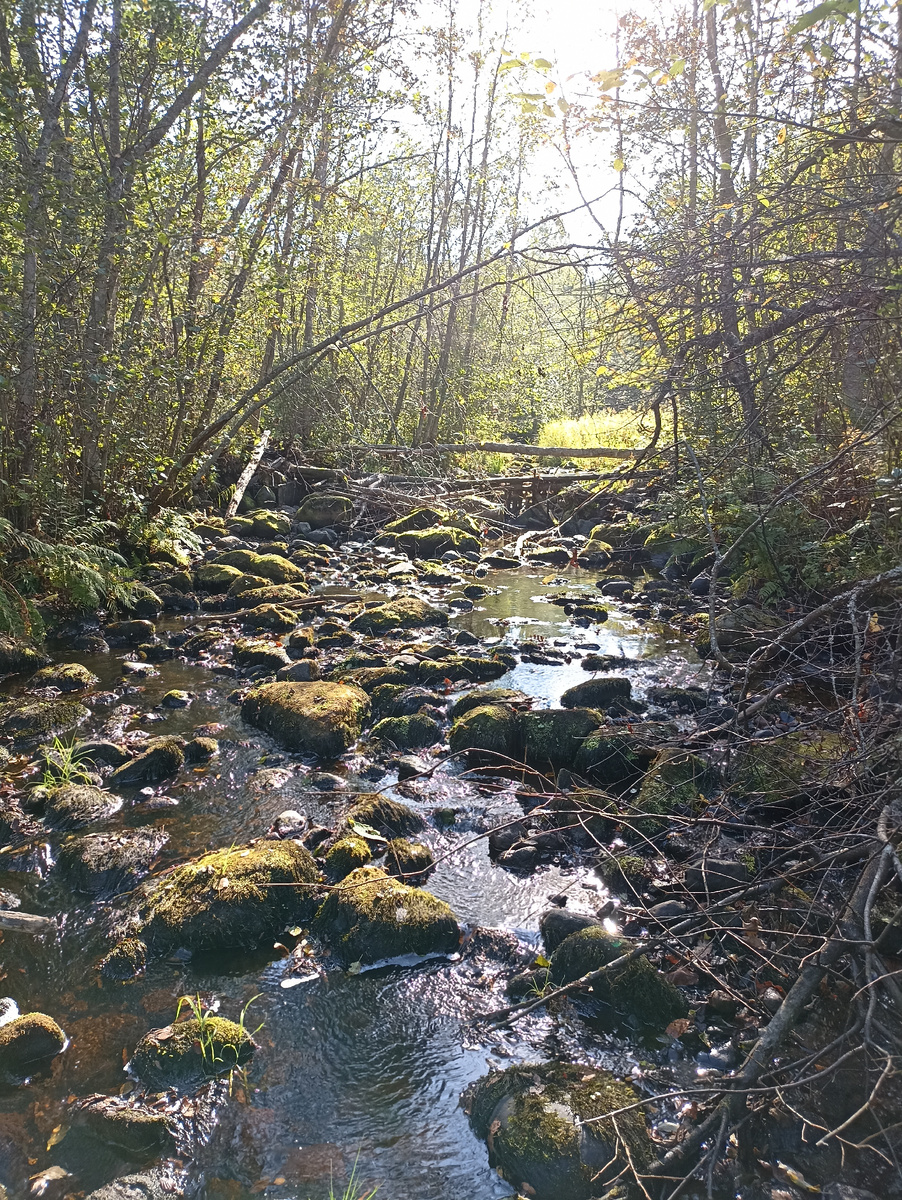 Непростой маршрут