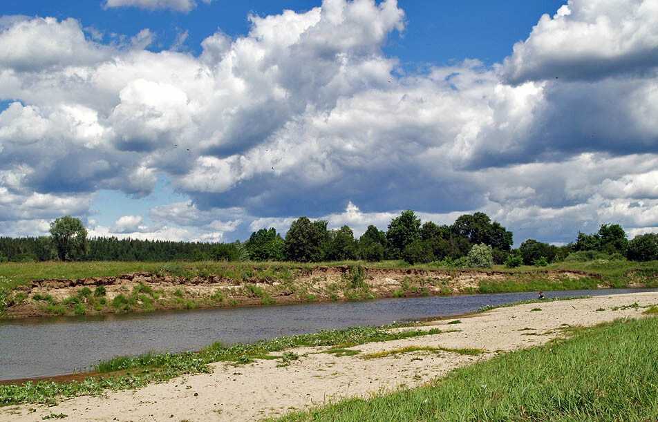 
.Лес в пойме реки Ашит. Фото: © Команда Кочующие