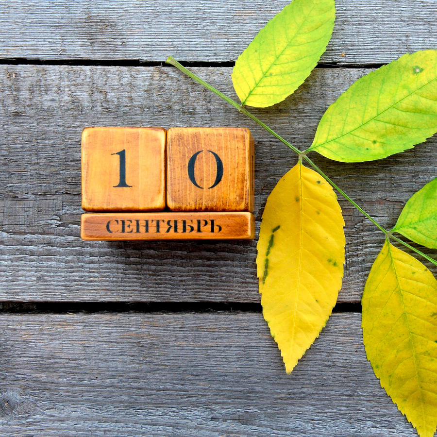     А что у нас в календаре? 10 сентября