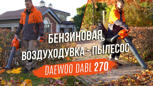 Как работает бензиновая воздуходувка-пылесос DAEWOO DABL 270. Подробный видеообзор функционала и тестирование в работе