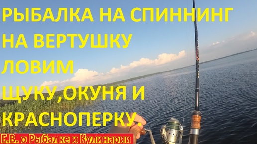 РЫБАЛКА НА СПИННИНГ С ЛОДКИ НА ОЗЕРЕ ЛОВИМ ЩУКУ, ОКУНЯ И ДАЖЕ КРУПНУЮ КРАСНОПЕРКУ НА БЛЕСНУ