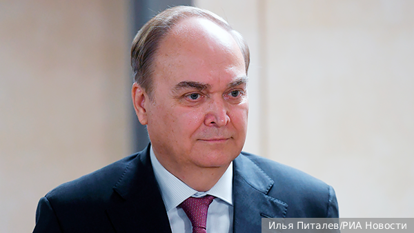     Фото: Илья Питалев/РИА Новости   
 Текст: Вера Басилая