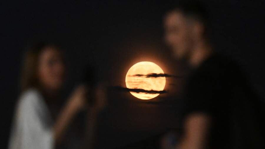 Фото: РИА Новости/Илья Питалев