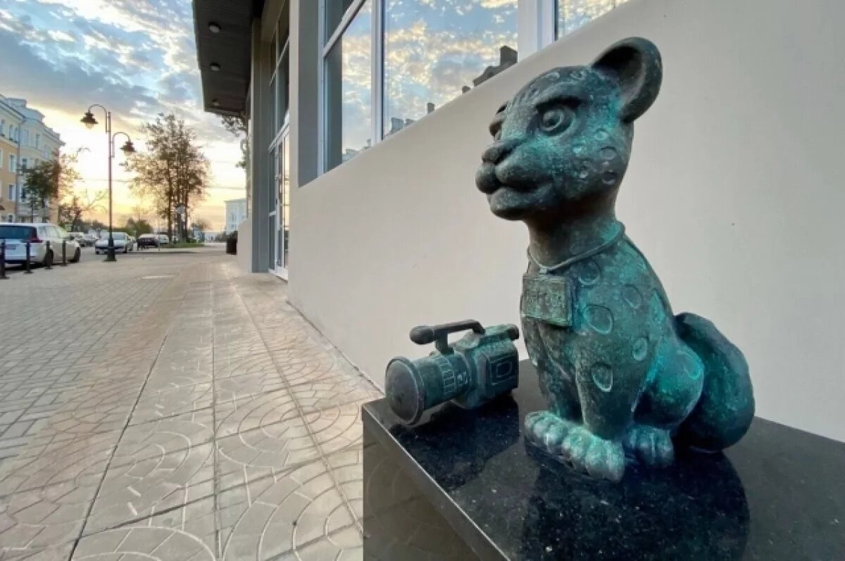    Барсик-журналист появился в Пскове