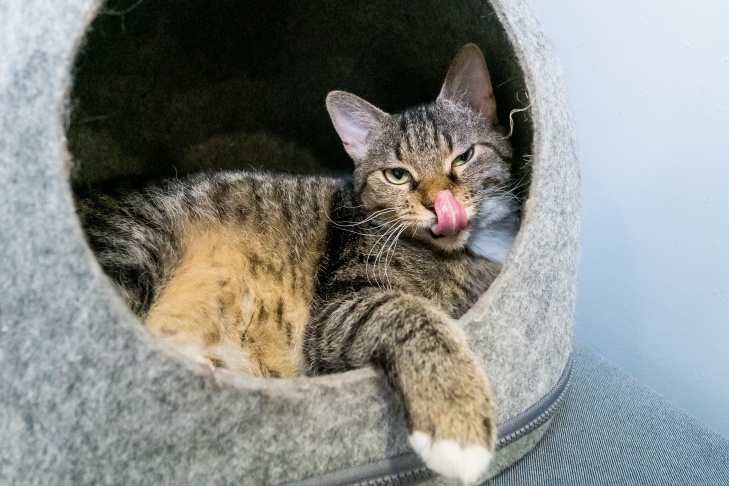    Фото Андрея Заржецкого