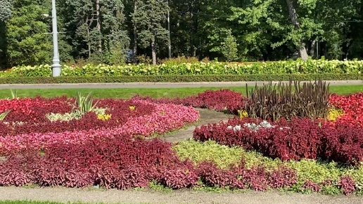 А вы были в парке «Сокольники»?