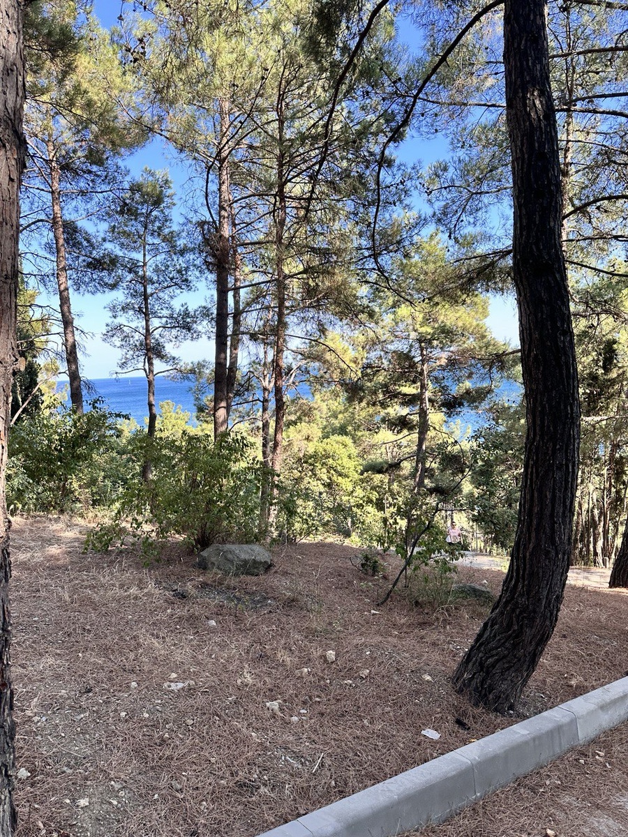 Спуск к морю