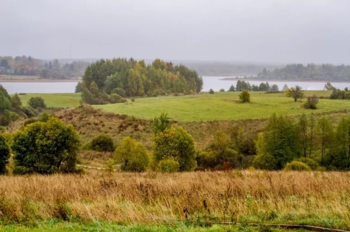    Часть жителей тверского Торопца, атакованного БПЛА, прибыли в Кунью