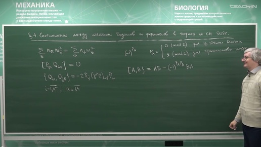 Степаньянц К.В. - Суперсимметрия в физике элементарных частиц - 4.  Мягкое нарушение суперсимметрии