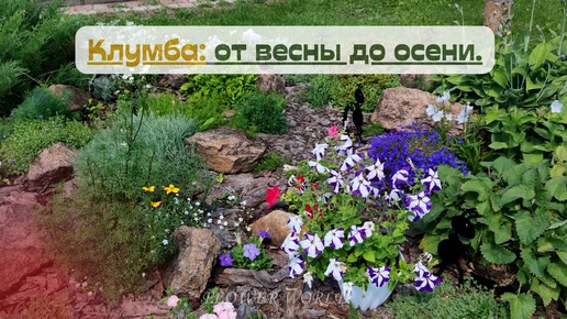 Клумба: от весны до осени.💐