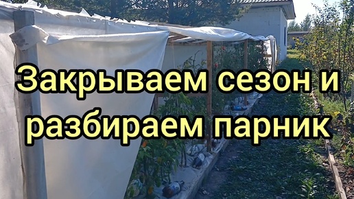 Сезон закрыт. Разбираю парник, снимаю остатки урожая, показываю землю под пленкой после 5 поливов за лета, убираю бутылки-батарейки на зиму.