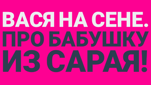 ВАСЯ НА СЕНЕ. ПРО БАБУШКУ ИЗ САРАЯ!