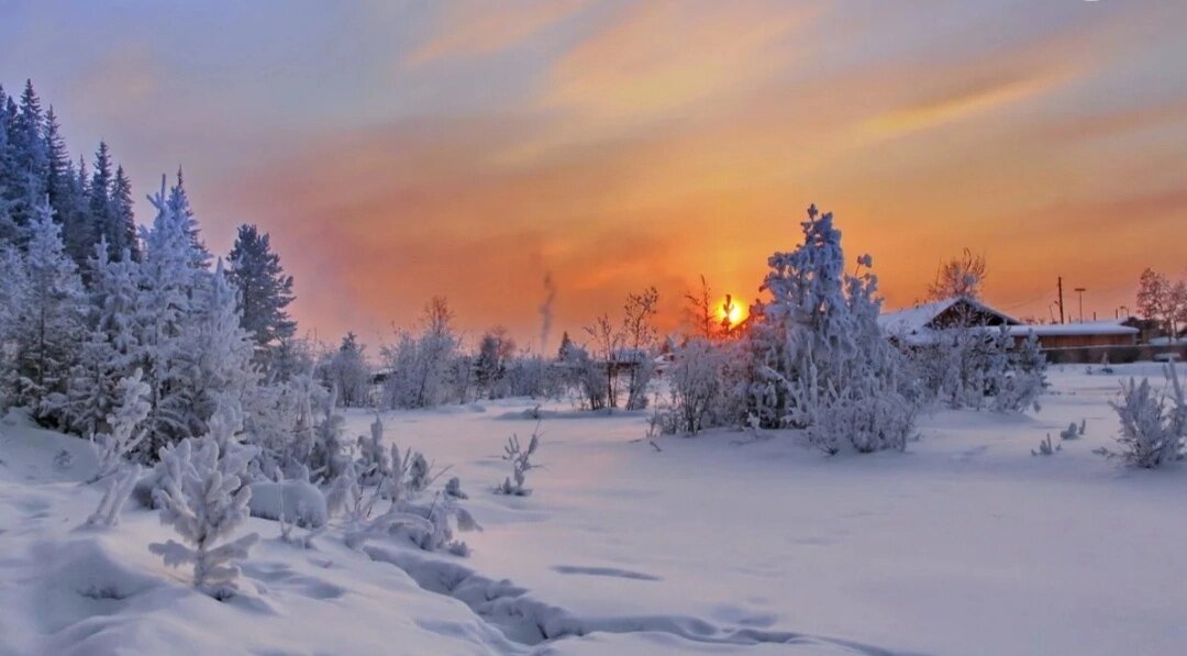 В январе рождаются очень мудрые люди , перед ними много завершающихся задач.