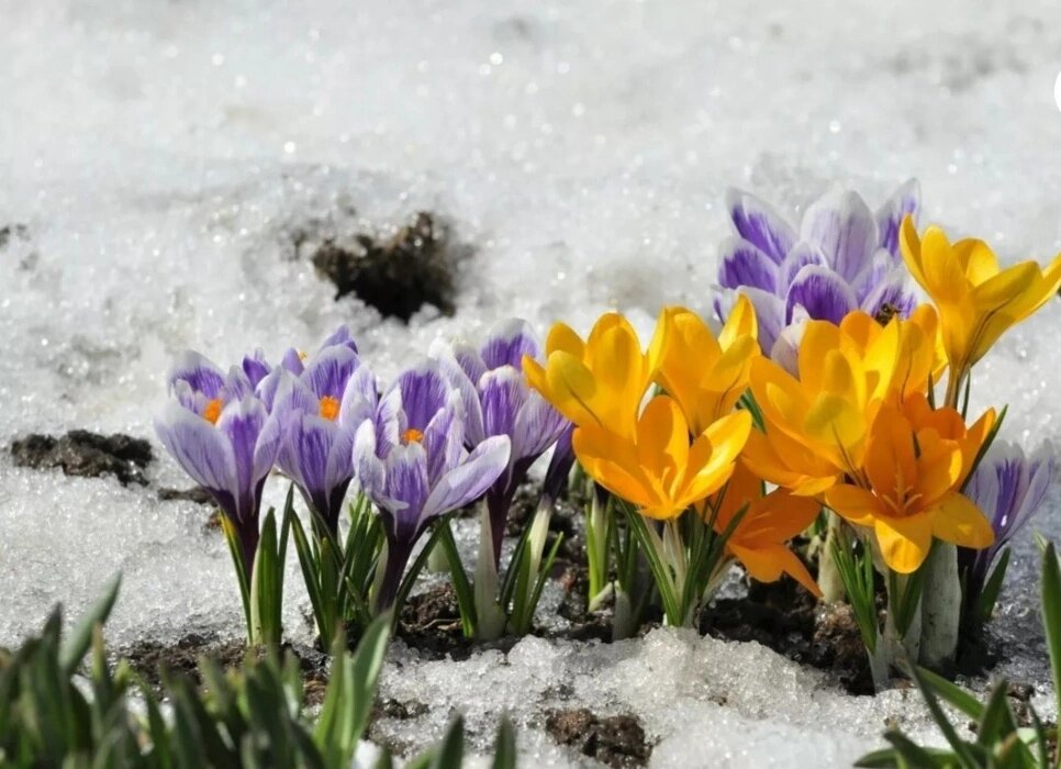 Люди рожденные в марте должны проработать обиды на мать .